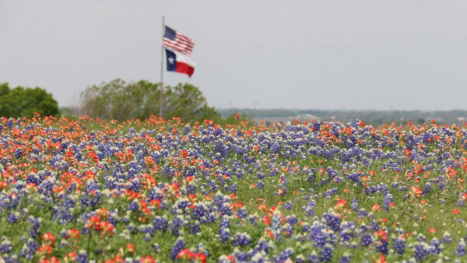 measure banner image